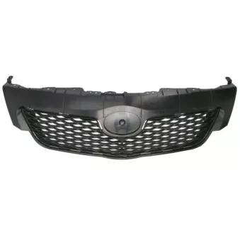 Grille de radiateur BLIC 6502-07-8116996UP