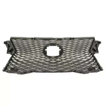 Grille de radiateur BLIC 6502-07-8123990P