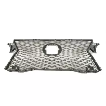 Grille de radiateur BLIC 6502-07-8123991P
