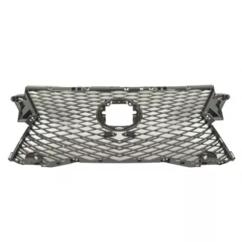 Grille de radiateur BLIC 6502-07-8123992P