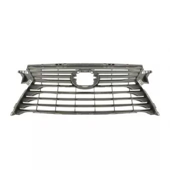 Grille de radiateur BLIC 6502-07-8123993P