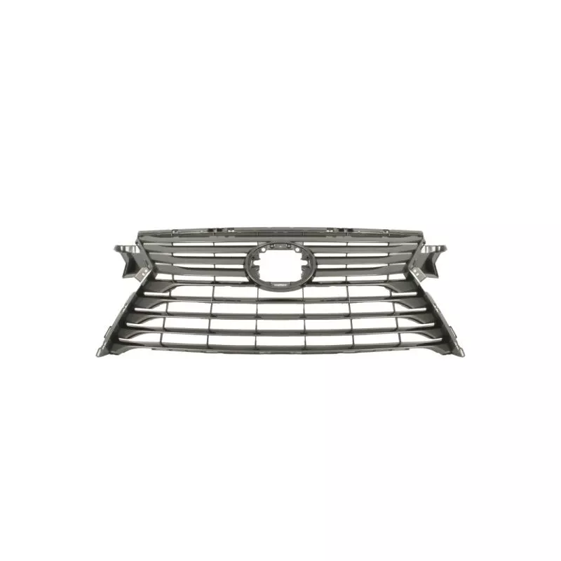 Grille de radiateur BLIC 6502-07-8123993P