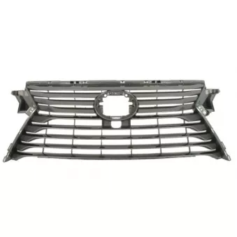 Grille de radiateur BLIC 6502-07-8123994P