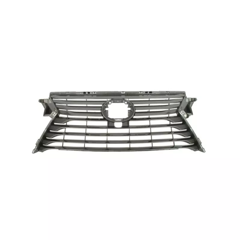 Grille de radiateur BLIC 6502-07-8123994P