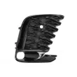 Grille de ventilation, pare-chocs BLIC 6502-07-8126914P - Visuel 1