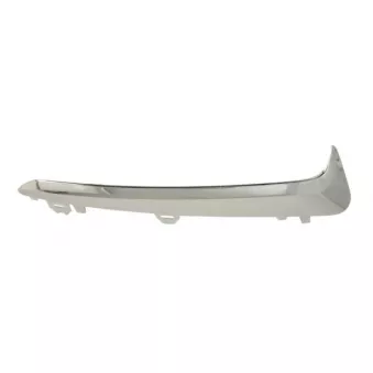 Baguette et bande protectrice, pare-chocs avant gauche BLIC 6502-07-8156911P