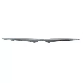 Baguette et bande protectrice, grille de radiateur BLIC 6502-07-8157212P