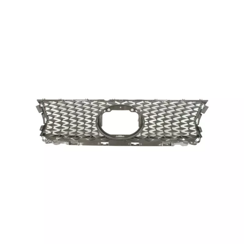 Grille de radiateur BLIC 6502-07-8171995P