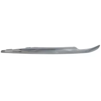 Baguette et bande protectrice, pare-chocs avant gauche BLIC 6502-07-9004921P