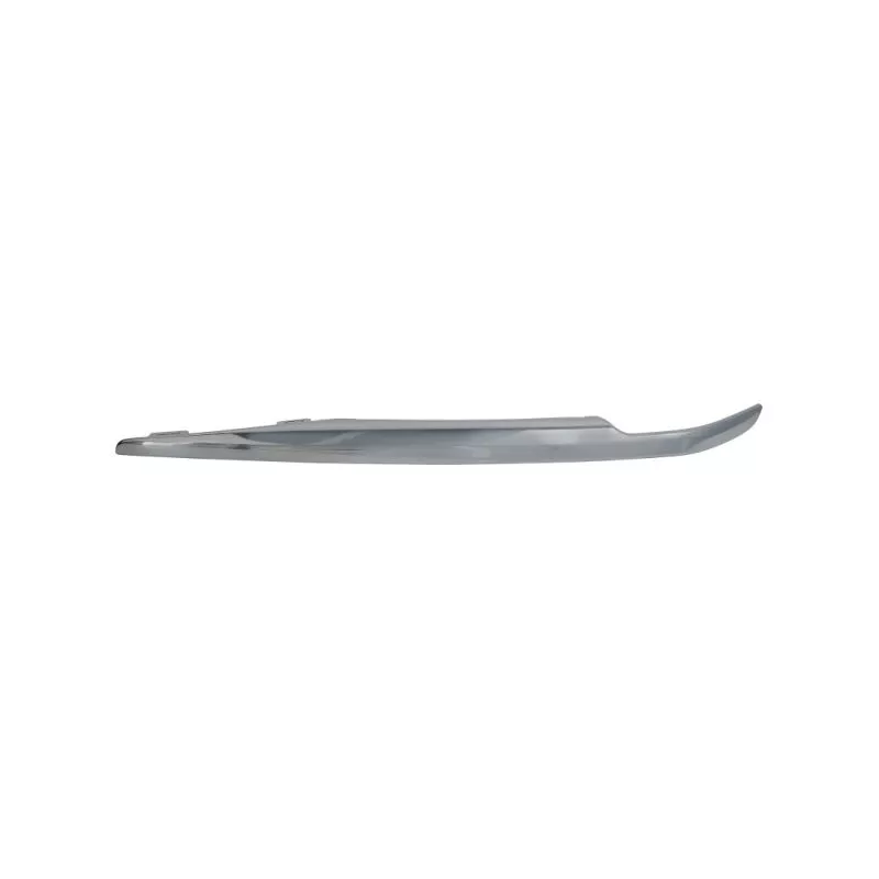Baguette et bande protectrice, pare-chocs avant gauche BLIC 6502-07-9004921P