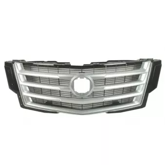 Grille de radiateur BLIC