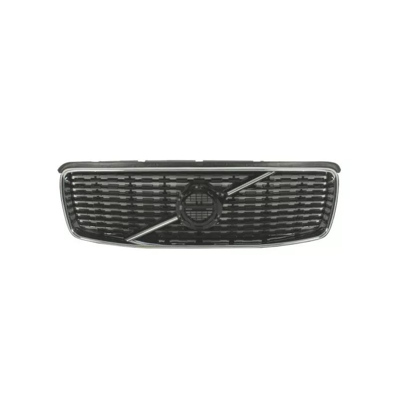 Grille de radiateur BLIC 6502-07-9061995P