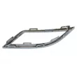 Baguette et bande protectrice, grille de radiateur avant gauche BLIC 6502-07-9508917CP - Visuel 2