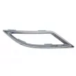 Baguette et bande protectrice, grille de radiateur avant droit BLIC 6502-07-9508918CP - Visuel 1