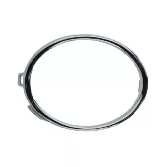 Cadre, projecteur antibrouillard avant gauche BLIC 6502-07-9548917PP