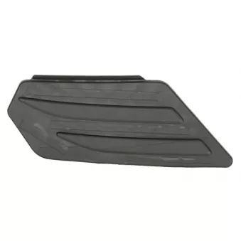 Marchepied avant BLIC 6502-07-9565918P