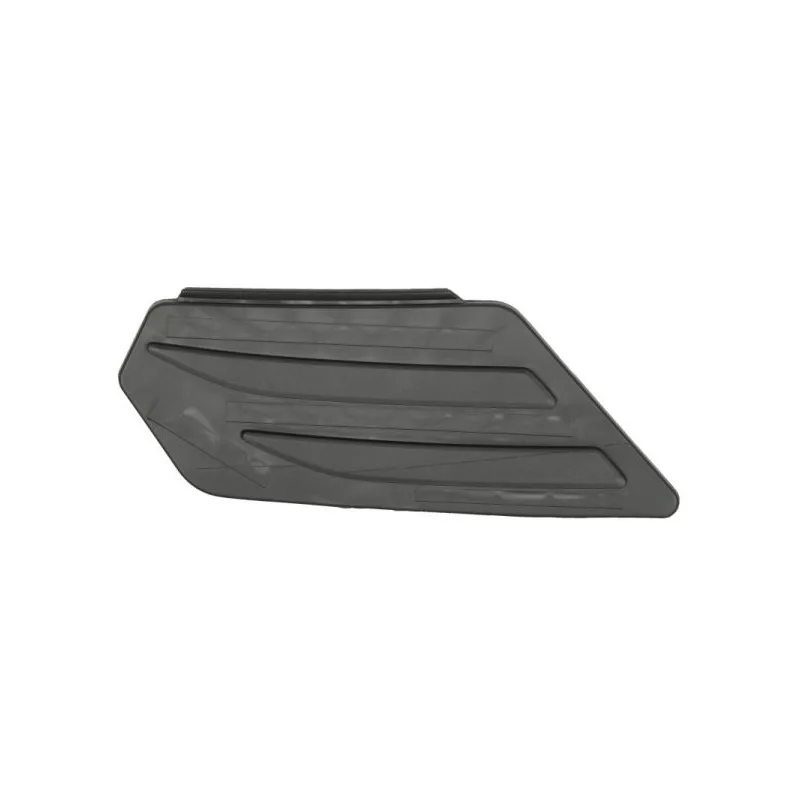 Marchepied avant BLIC 6502-07-9565918P