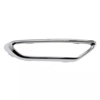 Baguette et bande protectrice, grille de radiateur avant gauche BLIC