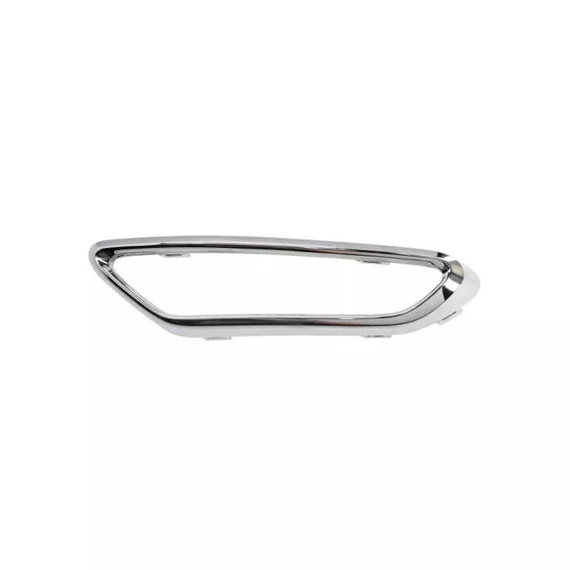 Baguette et bande protectrice, grille de radiateur avant droit BLIC 6502-07-9566918CP