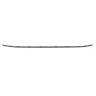 Baguette et bande protectrice, pare-chocs avant gauche BLIC 6502-07-9588922P