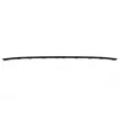 Baguette et bande protectrice, pare-chocs avant gauche BLIC 6502-07-9588922P - Visuel 2