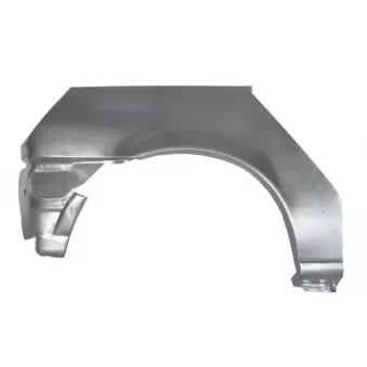 Doublure d'aile arrière droit BLIC 6504-03-2563592K