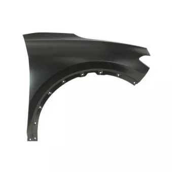 Aile avant droit BLIC