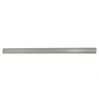 Plaque de seuil BLIC 6505-06-0040010P