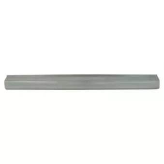Plaque de seuil BLIC 6505-06-9507013P