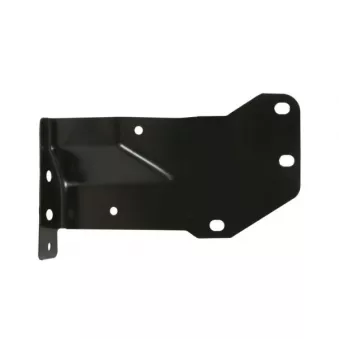 Revêtement avant BLIC