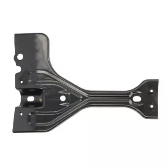 Revêtement avant BLIC 6508-05-9548250P