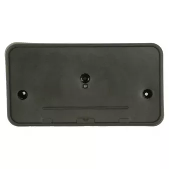 Support de plaque d'immatriculation avant gauche BLIC 6509-01-2507920P