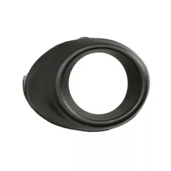 Cadre, projecteur antibrouillard avant gauche BLIC 6509-01-2537921P