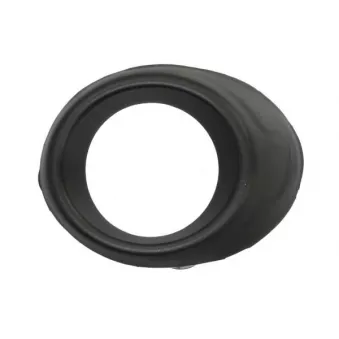 Cadre, projecteur antibrouillard avant droit BLIC 6509-01-2537922P