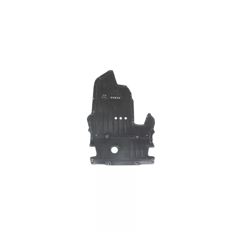 Cache moteur BLIC 6601-02-0066877P