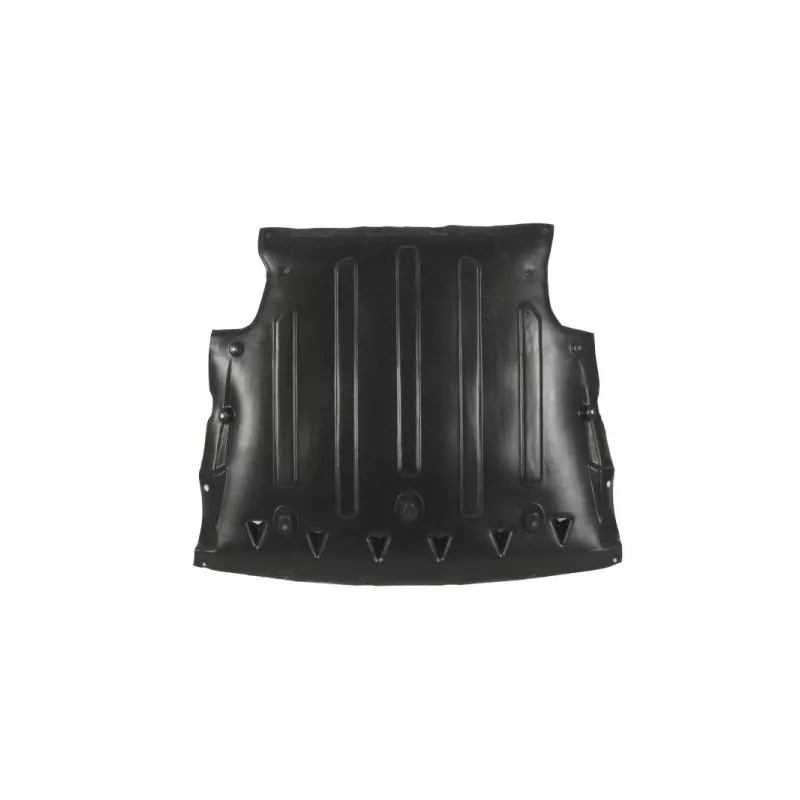 Cache moteur BLIC 6601-02-1617866P