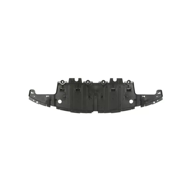 Cache moteur BLIC 6601-02-5053880P