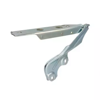 Charnière, capot-moteur BLIC 6802-00-0043451P