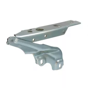 Charnière, capot-moteur BLIC 6802-00-0043452P