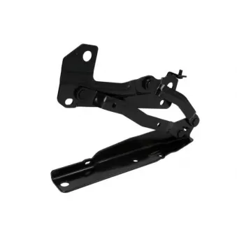 Charnière, capot-moteur BLIC 6802-00-3213451P