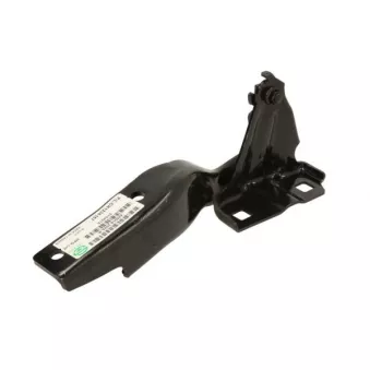 Charnière, capot-moteur BLIC 6802-00-3216452P