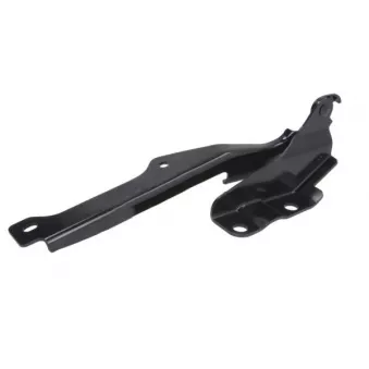 Charnière, capot-moteur BLIC 6802-00-3447451P