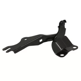 Charnière, capot-moteur BLIC 6802-00-3452451P