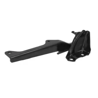 Charnière, capot-moteur BLIC 6802-00-3455451P