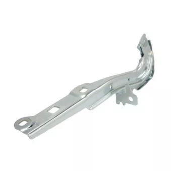 Charnière, capot-moteur BLIC 6802-00-5054451P