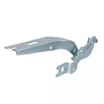 Charnière, capot-moteur BLIC 6802-00-9058451P
