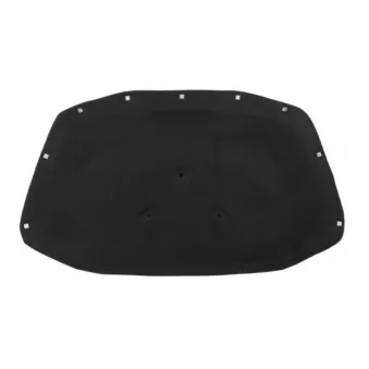 Insonoristaion du compartiment moteur BLIC