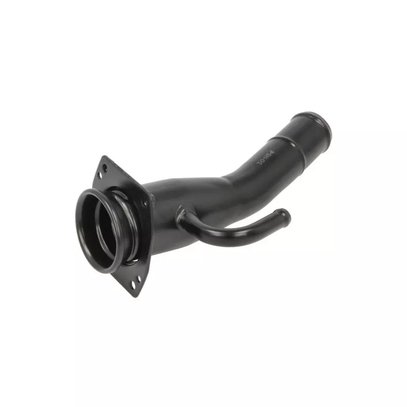 Goulotte de remplissage, réservoir de carburant BLIC 6906-00-0181407P