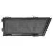 Grille de radiateur avant gauche PACOL MER-FB-083L - Visuel 2