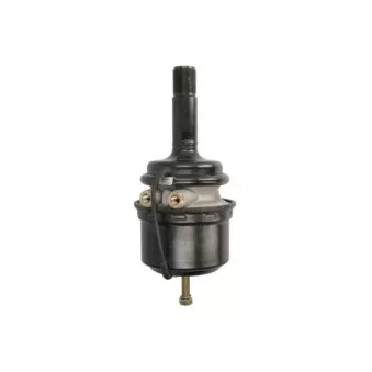 Cylindre de prétension SBP 05-BCT16/24-M45X1,5
